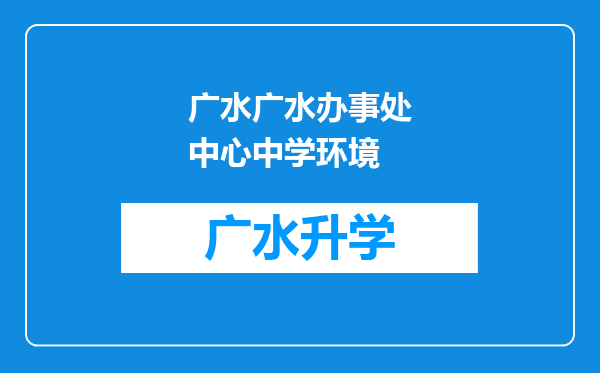 广水广水办事处中心中学环境