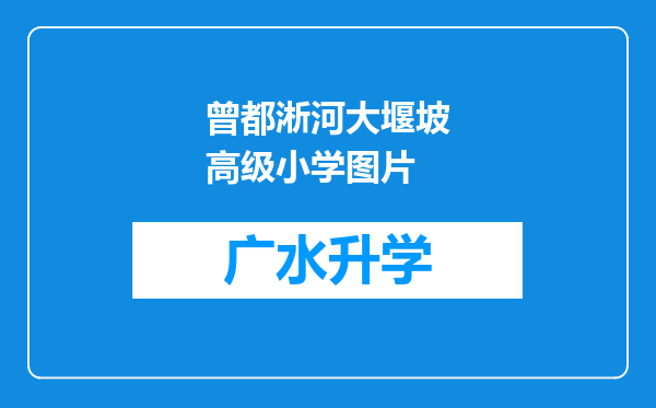 曾都淅河大堰坡高级小学图片