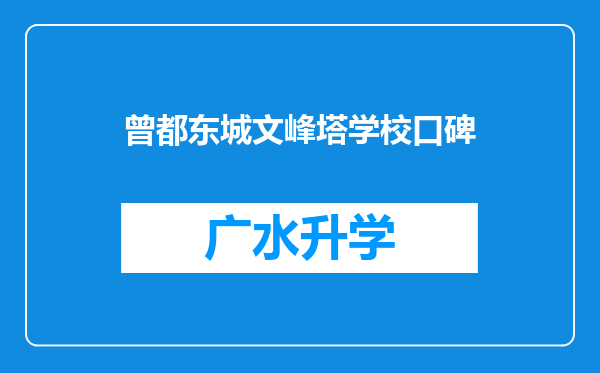 曾都东城文峰塔学校口碑