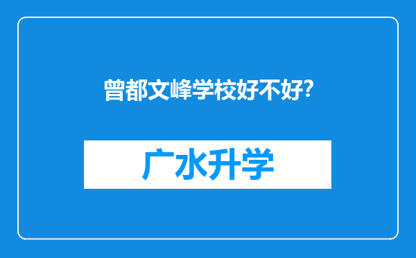 曾都文峰学校好不好？