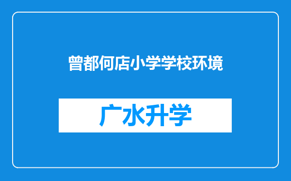 曾都何店小学学校环境