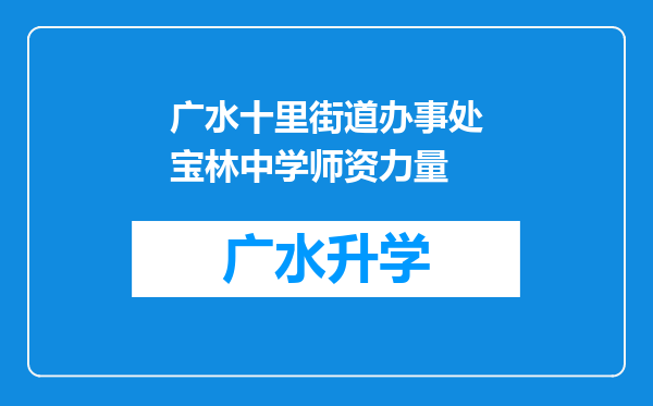 广水十里街道办事处宝林中学师资力量