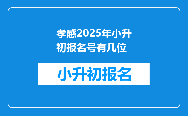 孝感2025年小升初报名号有几位