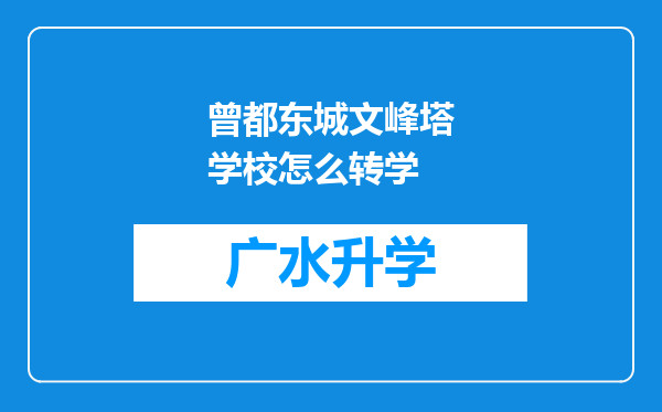 曾都东城文峰塔学校怎么转学