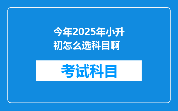 今年2025年小升初怎么选科目啊