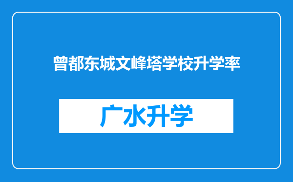 曾都东城文峰塔学校升学率