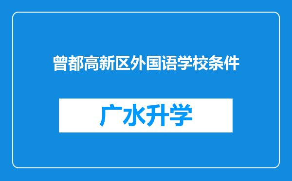 曾都高新区外国语学校条件