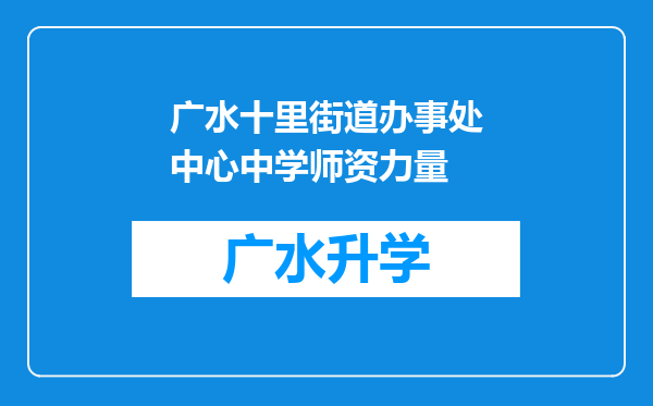 广水十里街道办事处中心中学师资力量