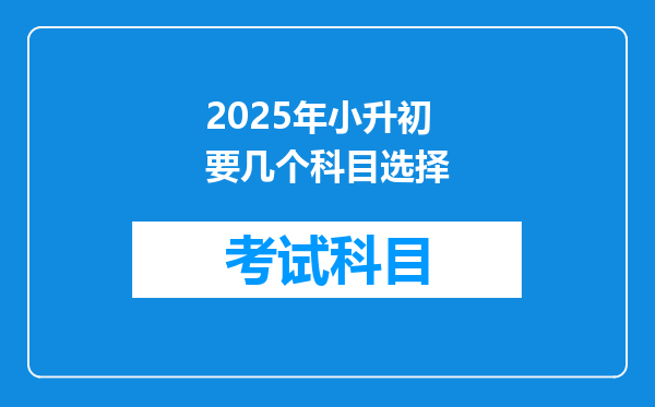 2025年小升初要几个科目选择