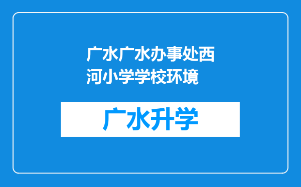 广水广水办事处西河小学学校环境