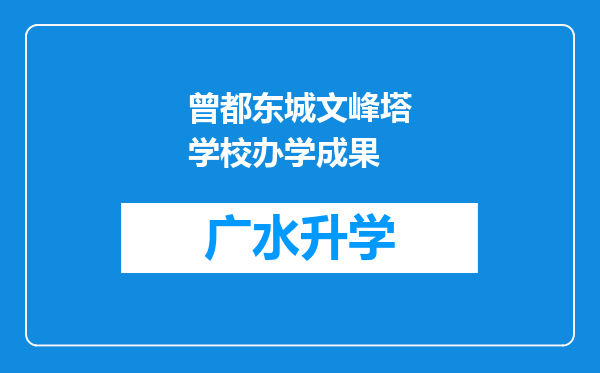 曾都东城文峰塔学校办学成果