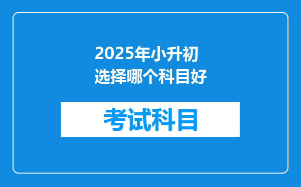 2025年小升初选择哪个科目好