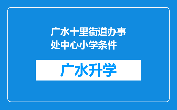 广水十里街道办事处中心小学条件