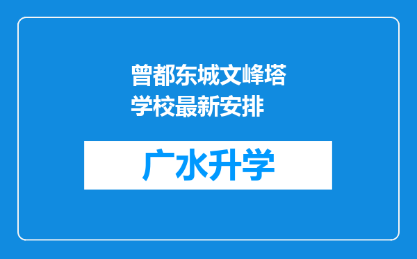 曾都东城文峰塔学校最新安排