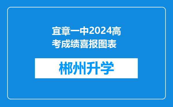 宜章一中2024高考成绩喜报图表