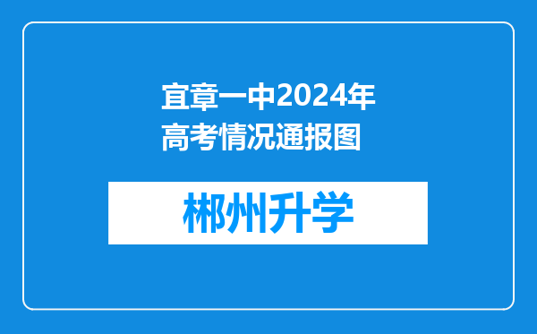 宜章一中2024年高考情况通报图