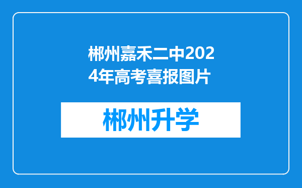 郴州嘉禾二中2024年高考喜报图片