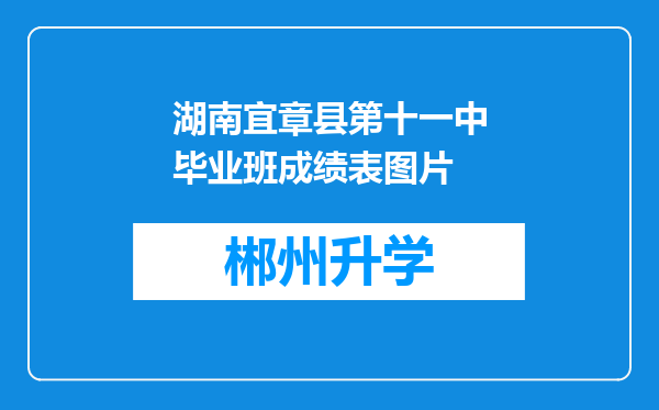 湖南宜章县第十一中毕业班成绩表图片