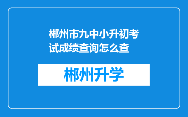 郴州市九中小升初考试成绩查询怎么查