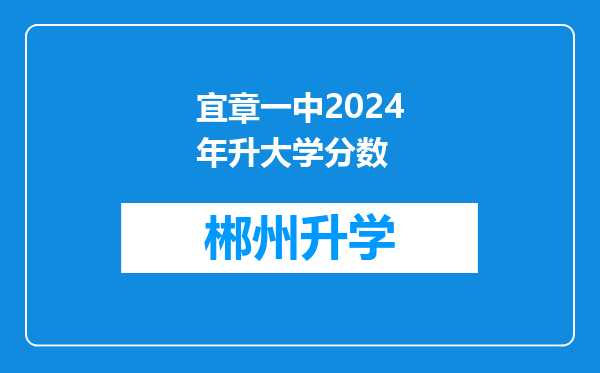 宜章一中2024年升大学分数