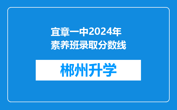 宜章一中2024年素养班录取分数线