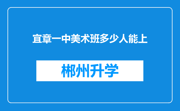 宜章一中美术班多少人能上