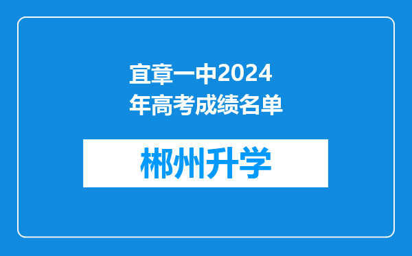 宜章一中2024年高考成绩名单