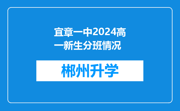 宜章一中2024高一新生分班情况