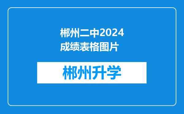 郴州二中2024成绩表格图片