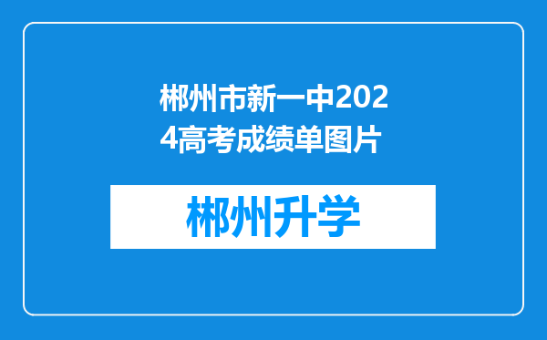 郴州市新一中2024高考成绩单图片