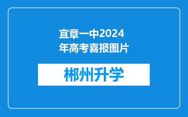 宜章一中2024年高考喜报图片