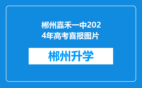 郴州嘉禾一中2024年高考喜报图片