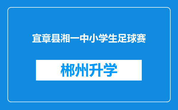 宜章县湘一中小学生足球赛