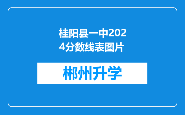 桂阳县一中2024分数线表图片