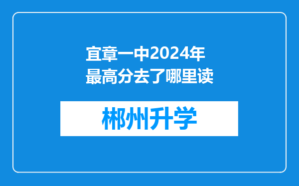 宜章一中2024年最高分去了哪里读