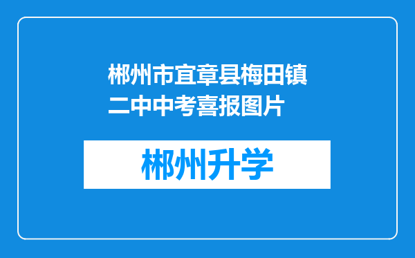 郴州市宜章县梅田镇二中中考喜报图片