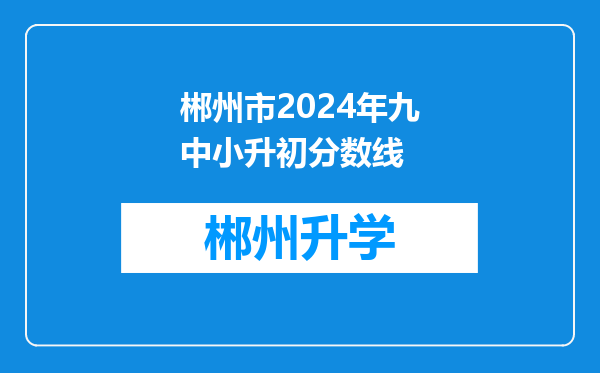 郴州市2024年九中小升初分数线