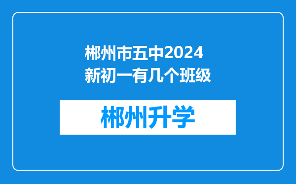 郴州市五中2024新初一有几个班级