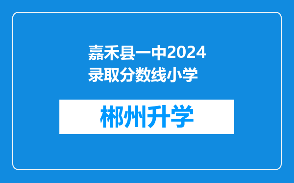 嘉禾县一中2024录取分数线小学