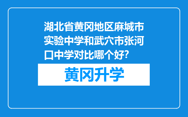 湖北省黄冈地区麻城市实验中学和武穴市张河口中学对比哪个好？