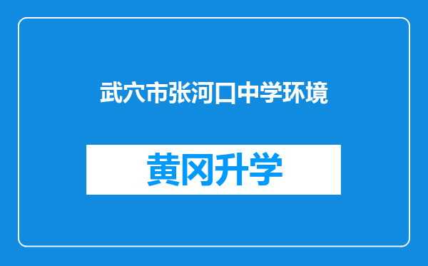 武穴市张河口中学环境