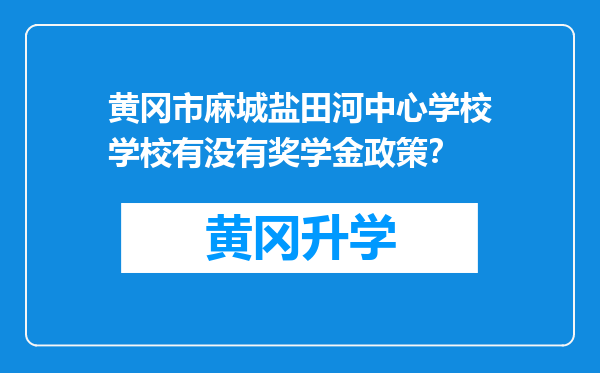 黄冈市麻城盐田河中心学校学校有没有奖学金政策？