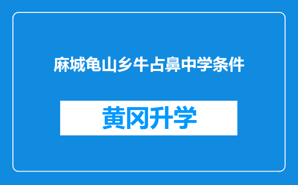 麻城龟山乡牛占鼻中学条件