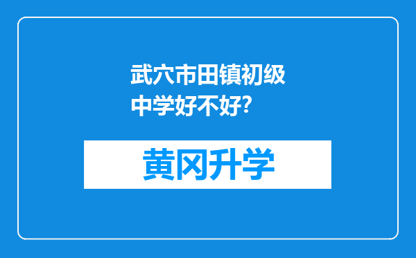 武穴市田镇初级中学好不好？