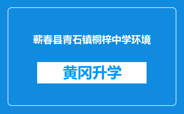 蕲春县青石镇桐梓中学环境