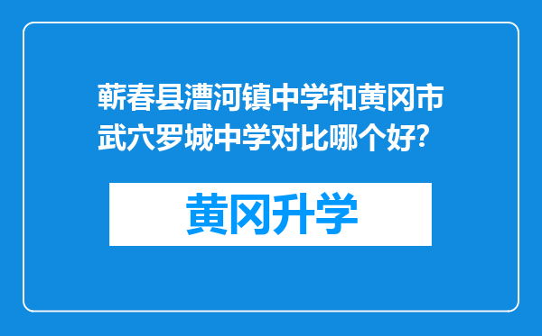 蕲春县漕河镇中学和黄冈市武穴罗城中学对比哪个好？