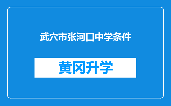 武穴市张河口中学条件