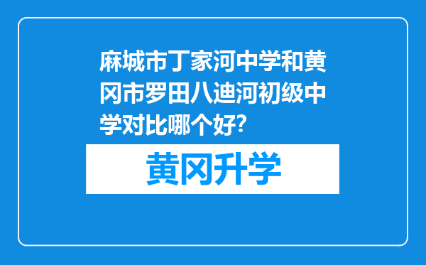 麻城市丁家河中学和黄冈市罗田八迪河初级中学对比哪个好？