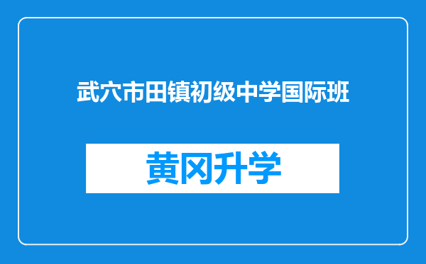 武穴市田镇初级中学国际班