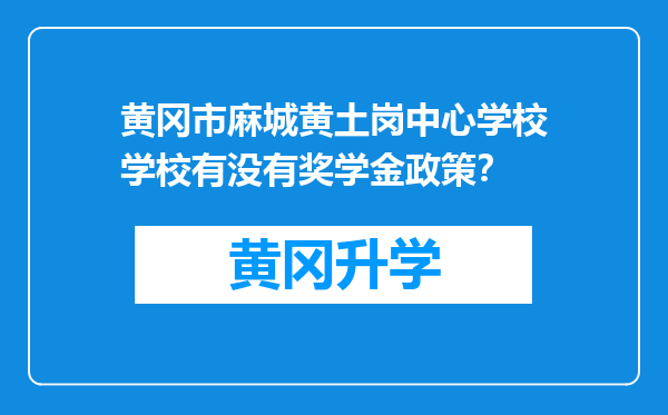 黄冈市麻城黄土岗中心学校学校有没有奖学金政策？